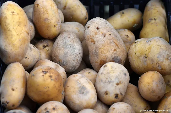 vakbond kondigt weer staking bij aardappelverwerker aviko aan