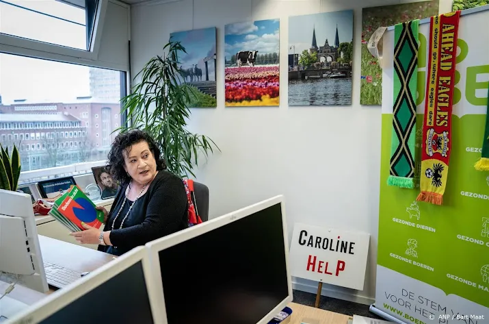 van der plas d66 opvallend stil na na verkiezingsnederlaag