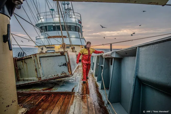 vangst noordzeegarnalen overtreft recordjaar 2018 niet