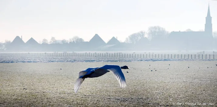 vannacht kouder dan in de winter