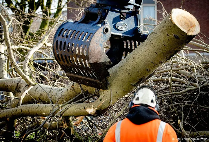 veel meldingen van omgevallen bomen en afgewaaide dakpannen