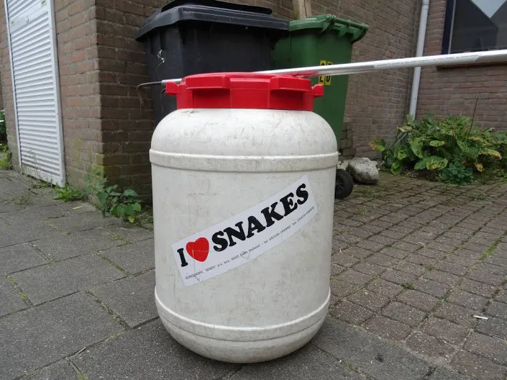 veel meldingen van ontsnapte slangen