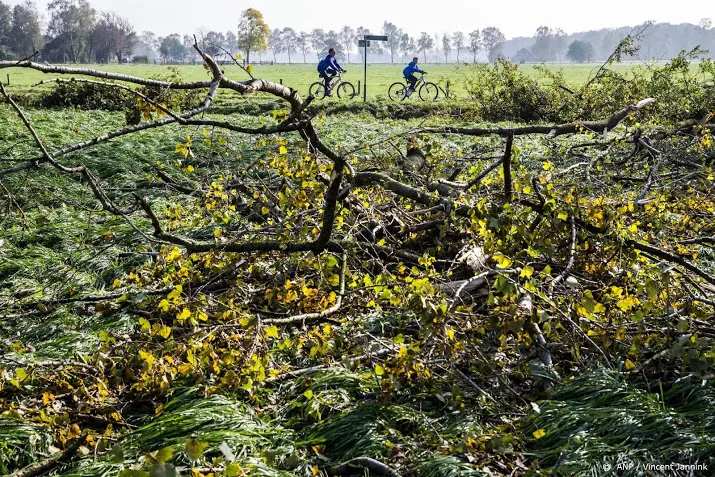 veel stormschade in het zuiden van het land