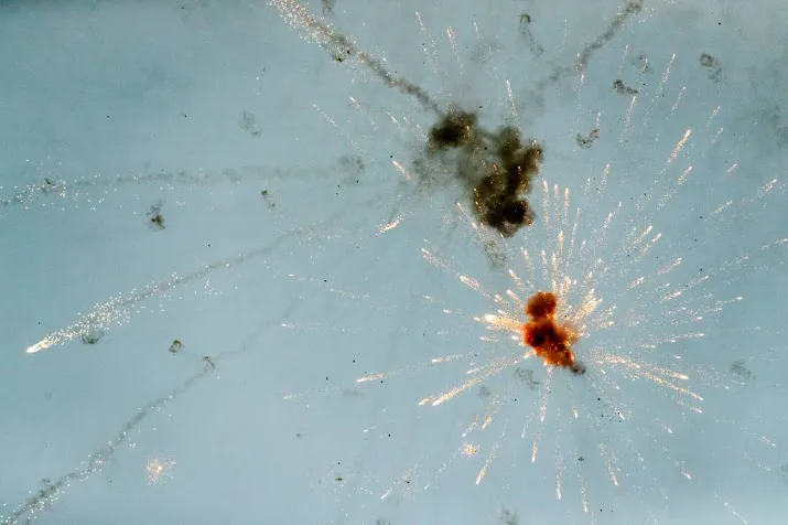 verbod op knalvuurwerk past bij tijdsgeest