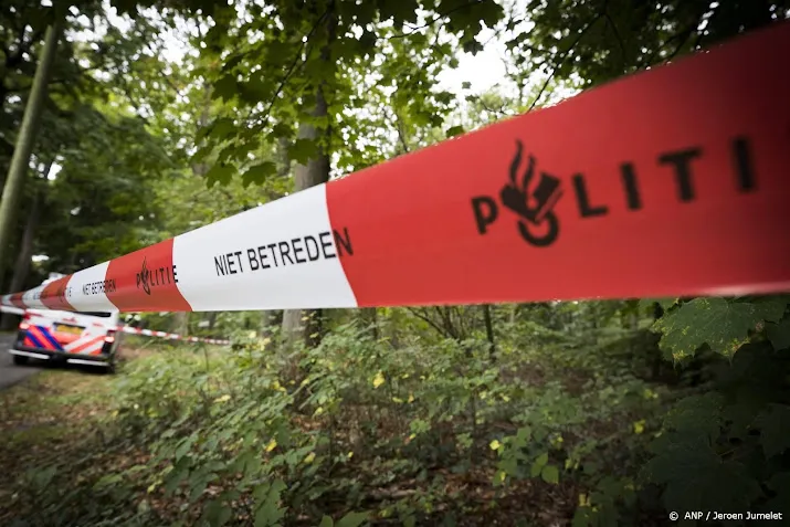 verdachte dood psychiater was voorlopig vrij in andere zaak
