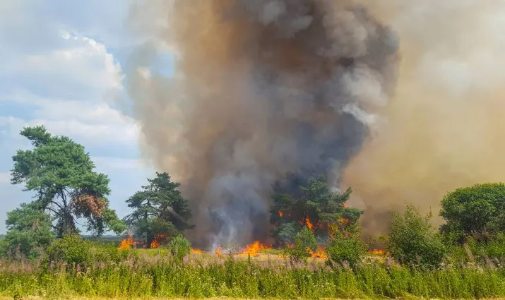 verdachte opgepakt voor brand hoge veluwe