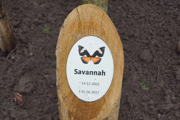 verdachte zaak savannah nog verder onderzocht