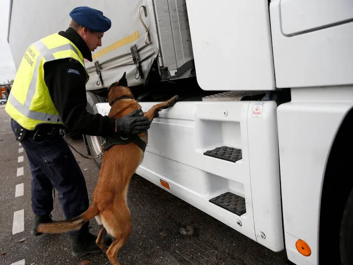verstekelingen uit vrachtwagen gehaald