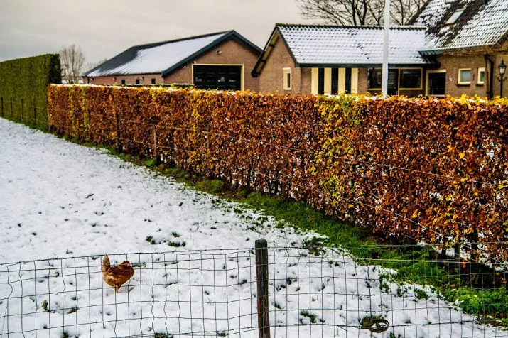 vervoersverbod biddinghuizen ingetrokken