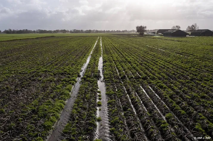 verzekeraar betere schaderegeling boer bij langdurige neerslag