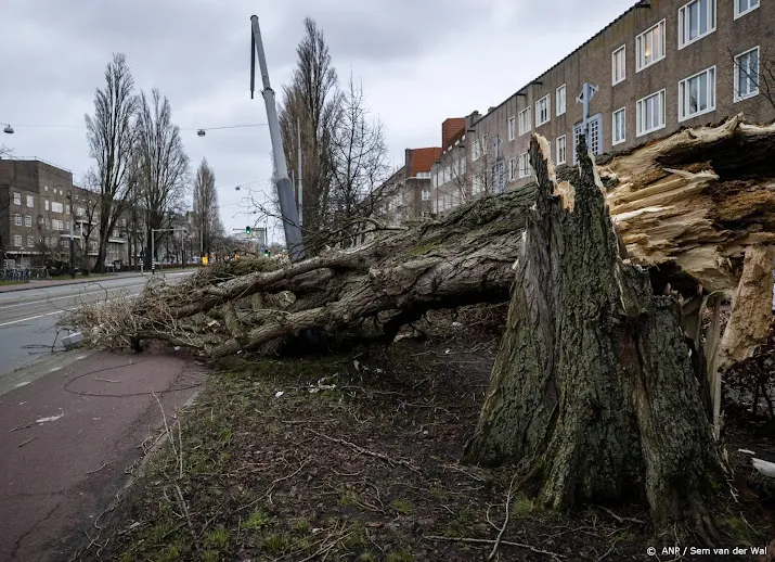 vierde stormdode man overlijdt na botsing tegen boom bij adorp