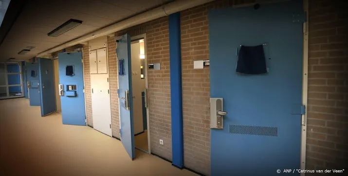 vijf jaar cel en tbs voor poging tot doodslag op thuishulp