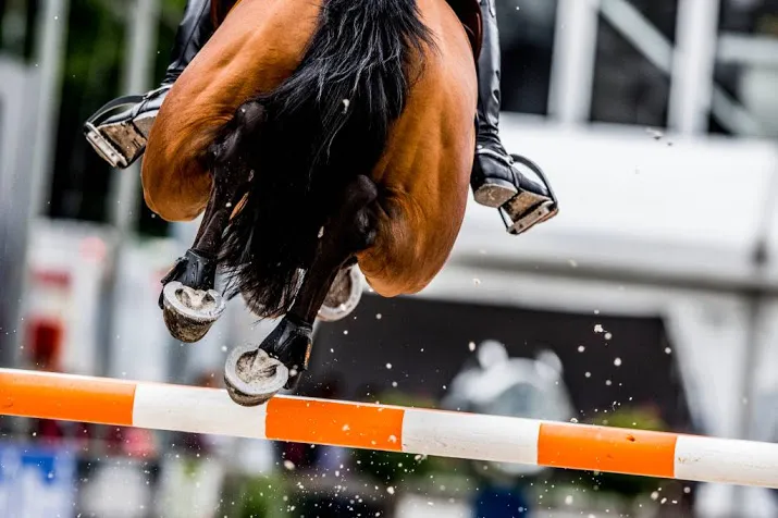 vijfvoudig olympisch springkampioen overleden