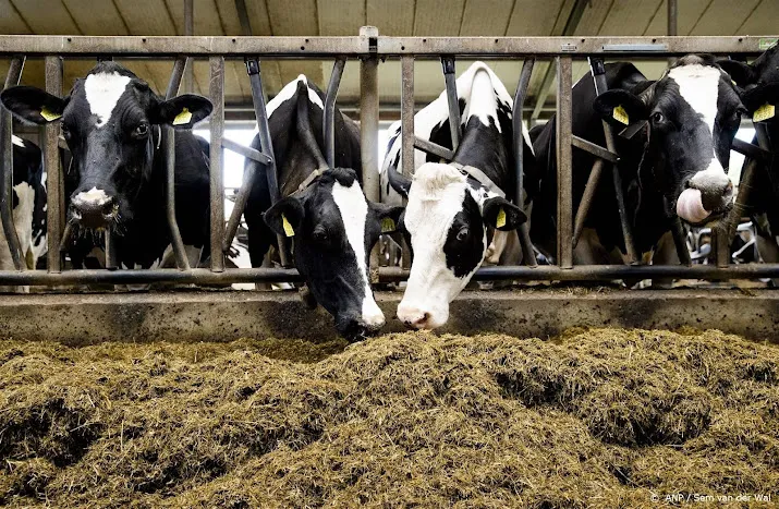 viroloog niet nodig te stoppen met eten van rundvlees om bse koe