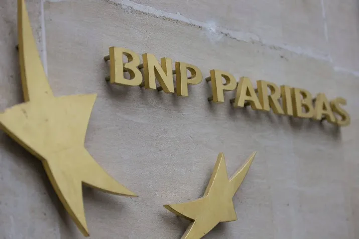 vizier fiscus op zwartspaarders bnp paribas