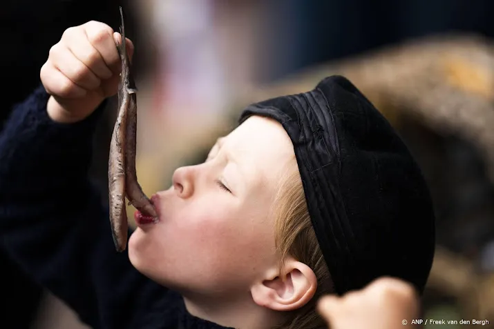 vlaggetjesdag is terug maar dure diesel verandert haringfeest