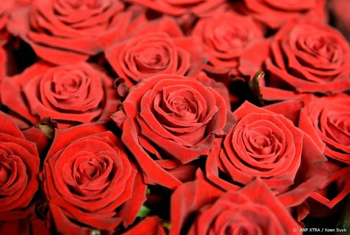 vlotte valentijnsverkoop bij bloemenhandel