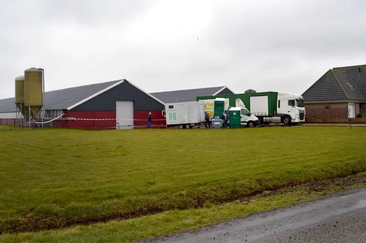 vogelgriep op eendenboerderij in kamperveen