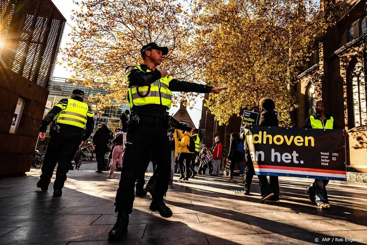 vooral taakstraffen voor zwarte pietrellen
