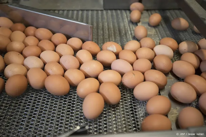vrije uitloopei door ophokplicht vanwege vogelgriep in gevaar