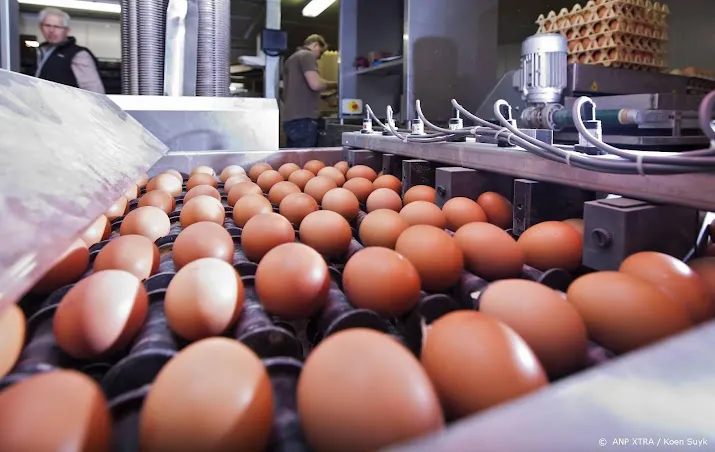 vrije uitloopeieren worden vanaf woensdag verkocht als scharrelei