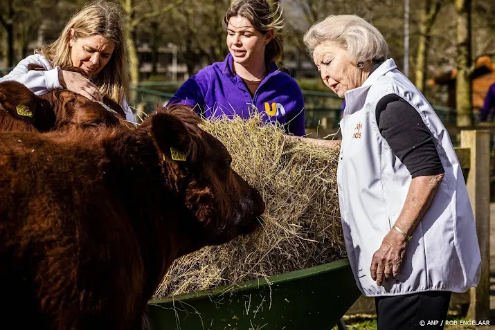 vrijwilligerswerk terug op niveau van voor corona