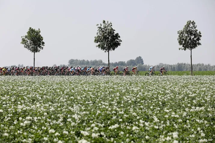 vrouwenwielerronde healthy ageing tour gaat door als driedaagse