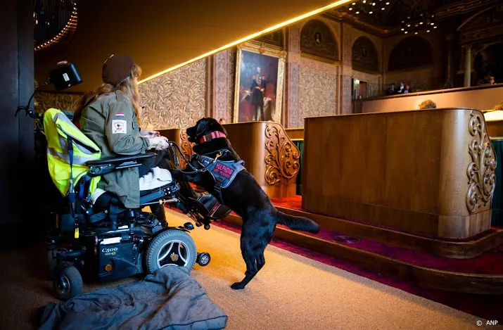 vuurwerktrauma schakelt hulphonden uit