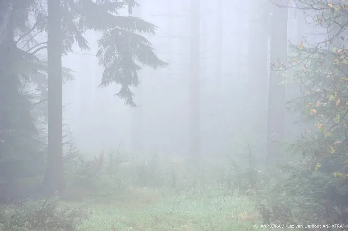waarschuwing om gladheid en dichte mist