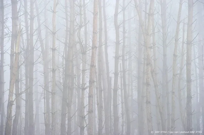 waarschuwing voor dichte mist in vrijwel het hele land