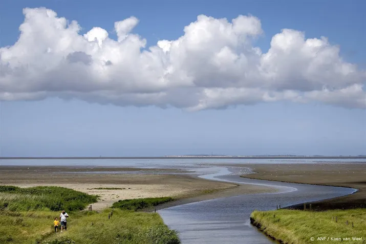 waddenzee dreigt unesco status te verliezen om mijnbouw
