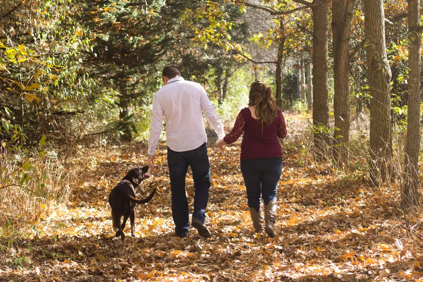wandelen 2 hq pixabay