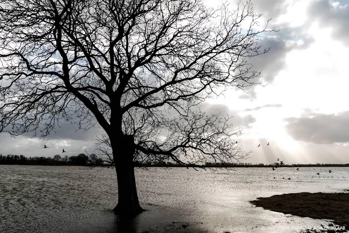 waterschap laat eendragtspolder vollopen wegens waterstand rotte