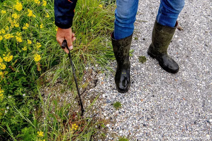 waterschappen scherp op uitdrogende veendijken