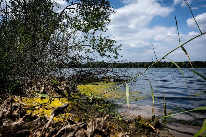 watertekort in zuid en oost nederland