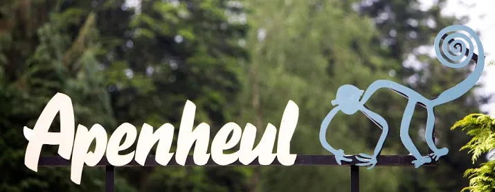 weer orang oetan in apenheul overleden