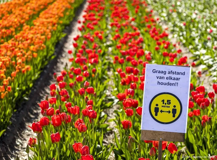 wegen in bollenstreek afgezet wegens drukte met pasen