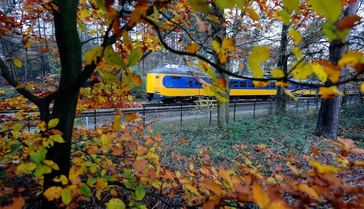 weinig treinuitval door herfstweer
