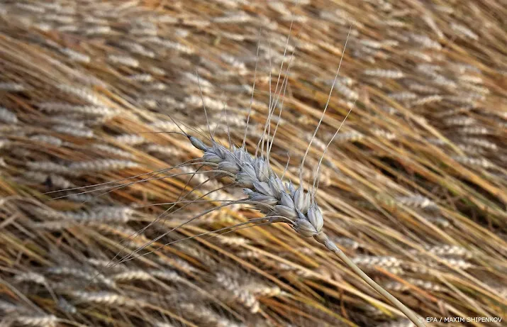 wereldwijde voedselprijzen lopen op na verlopen graandeal