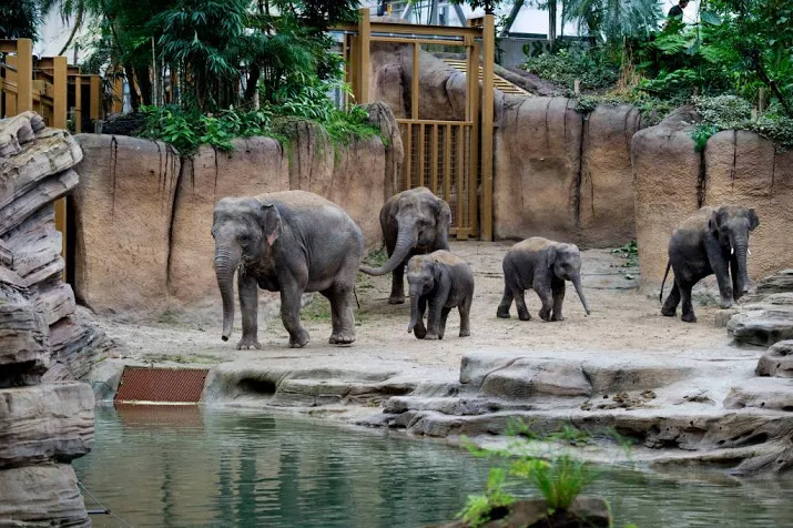 wildlands wordt weer gewoon dierentuin