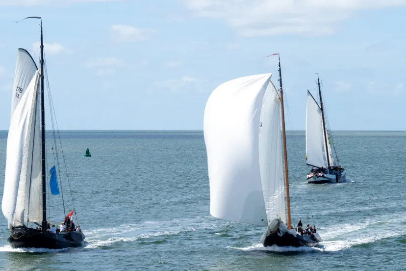 wim van t einde 76rfxo594ak unsplash