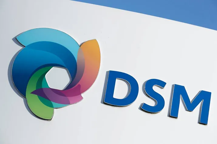 winst dsm neemt duikvlucht