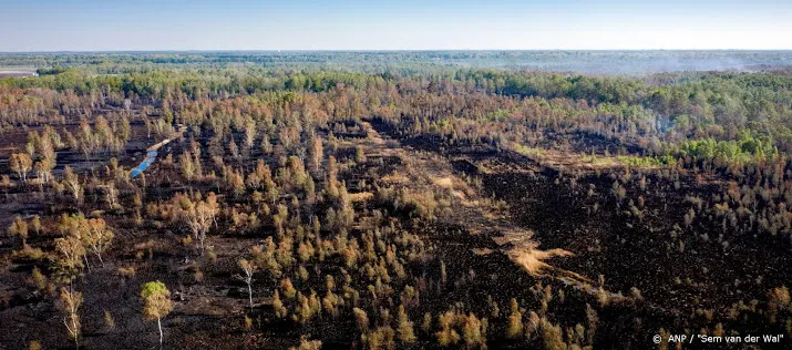 wwf aantal natuurbranden blijft wereldwijd toenemen