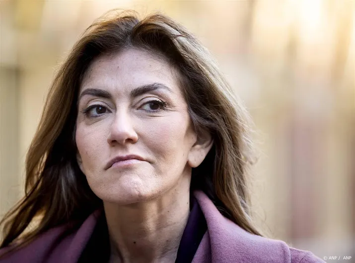 yesilgoz moet verdeelde vvd overtuigen van haar koers