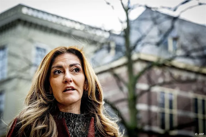 yesilgoz vooraf arresteren activist raakt demonstratierecht niet