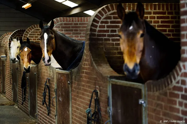 zeventien paarden overleden aan rhinovirus