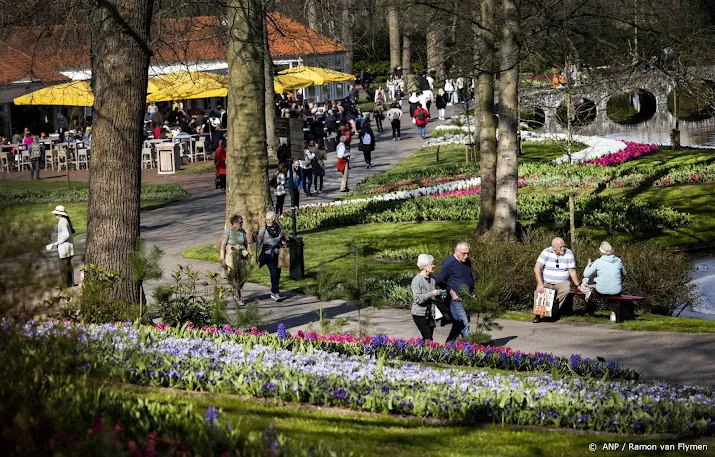 zon en bloemen anwb waarschuwt voor topdrukte in bollenstreek