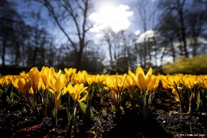 zonnige droge en warme lente op komst
