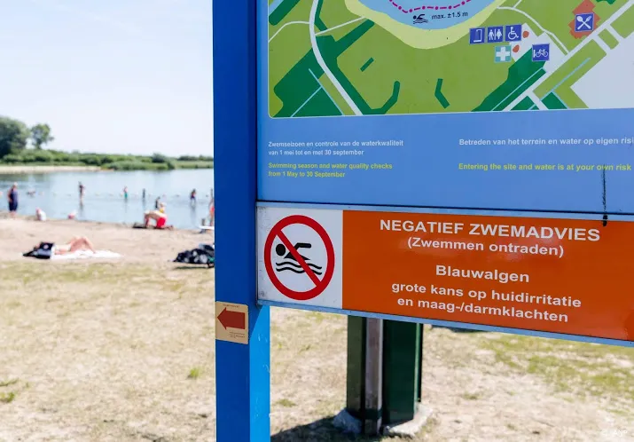 zwemmers in natuurwater moeten oppassen voor blauwalg