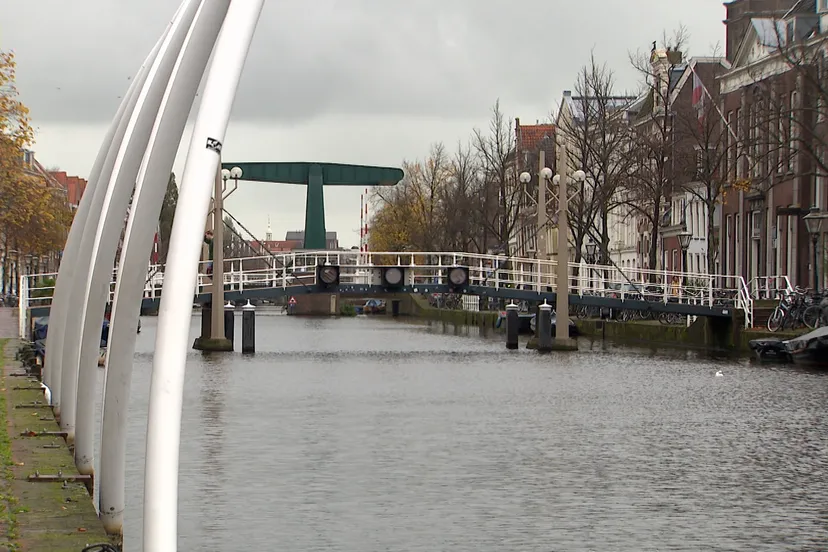 241022 team mishandeling oude singel leiden pd 1